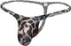 big Leopard